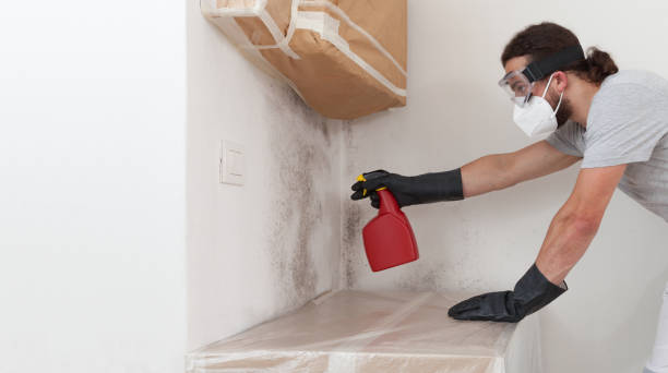 Professional Bathroom Mold Removal technician working in Deerfield, MI