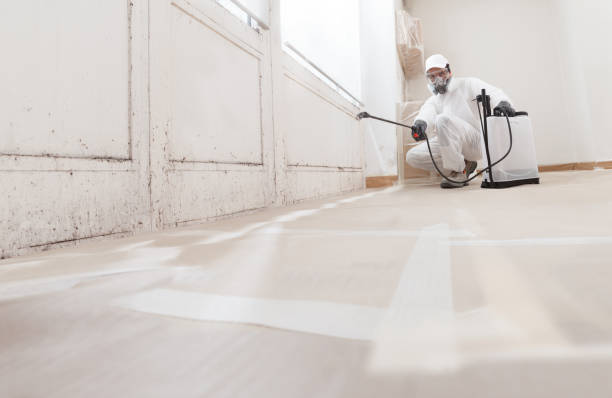 24/7 Emergency Bathroom Mold Removal experts in Deerfield, MI