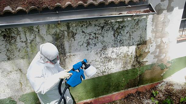 Top rated local Bathroom Mold Removal specialists in Deerfield, MI